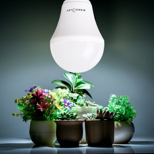 식물생장용 LED 전구 10W E26 실내 가정용 실물키우기 식물재배용 어항 수조 수초성장 PG102