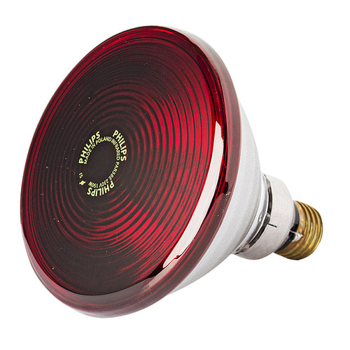 필립스 적외선 램프 150W 원적외선 의료용 물리치료기 전구