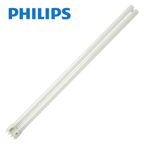 필립스 Essential PL-L 4P 36W 삼파장 램프 주광색(865),백색(840),전구색(827) 가정,사무실,형광등