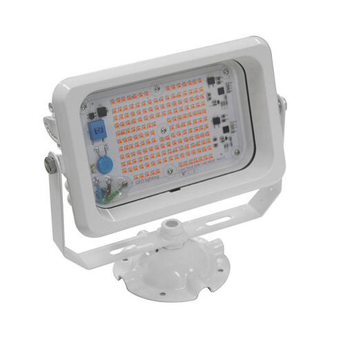 국산 LED 노출 투광기 적색 50W AC타입 G-28-1 투광등 간판등 외부등